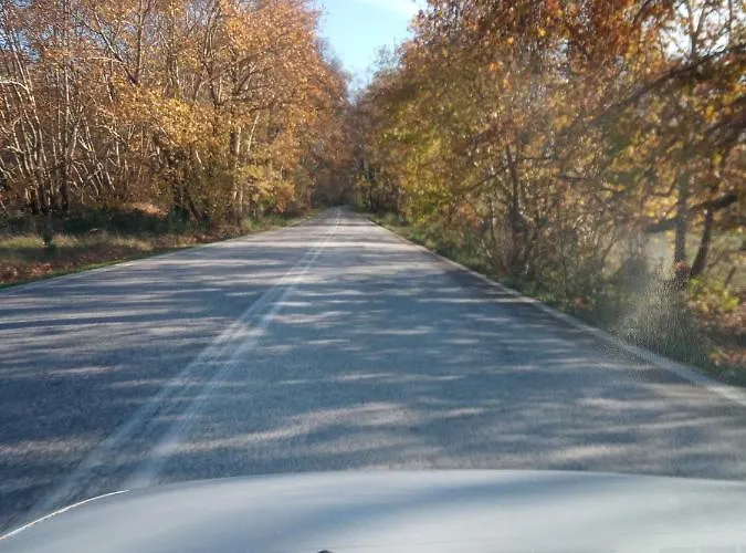 Apartament Lampros *